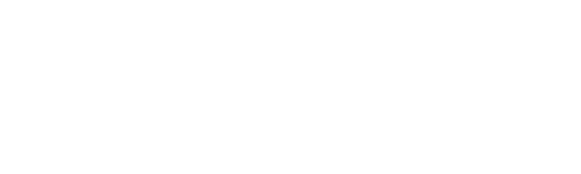 Volunt International